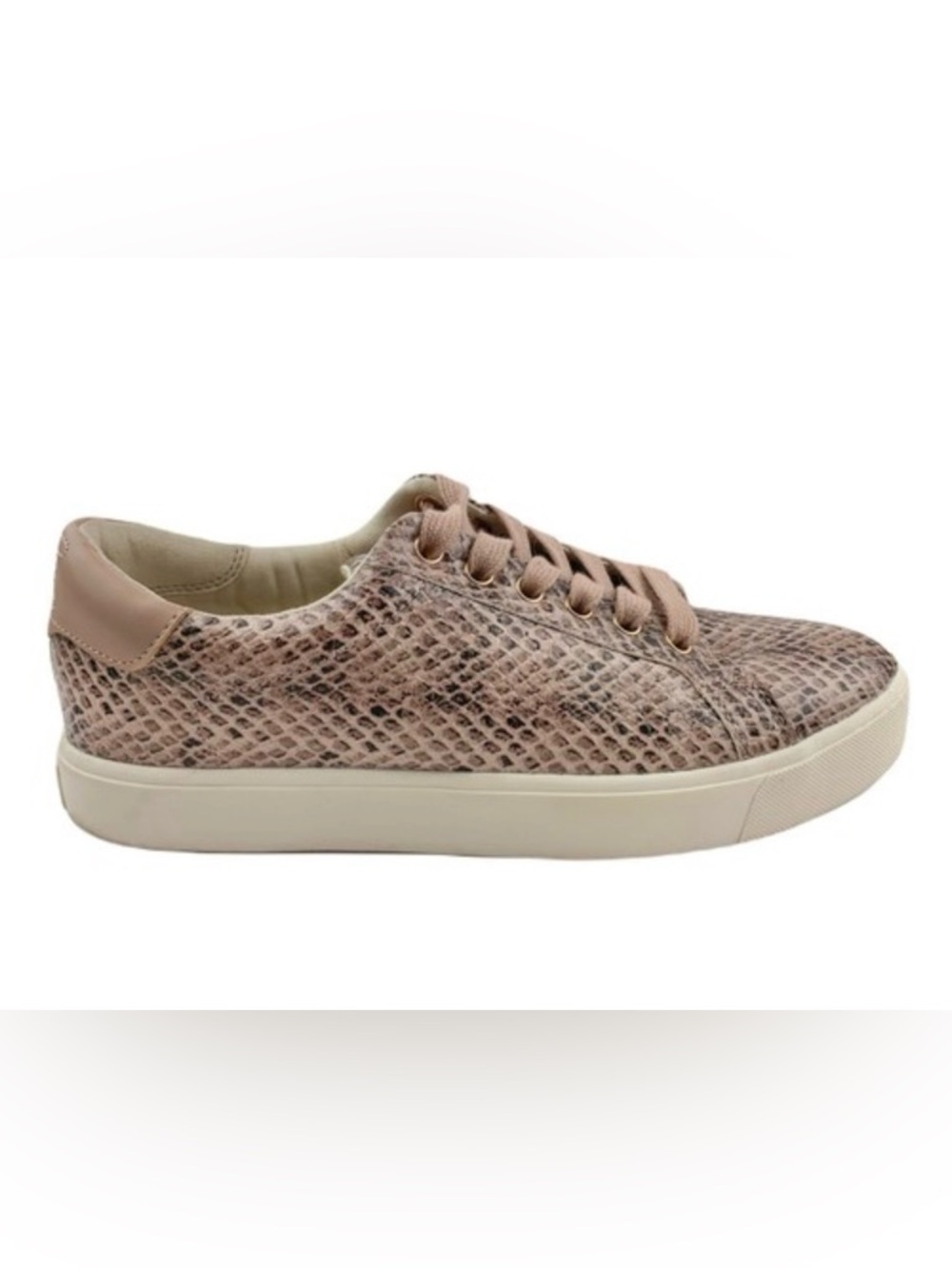 Sam Edelman Ethyl Lace-Up Sneaker in a snakeskin print